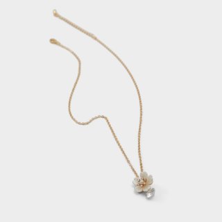 Aldo Alexianie - Ice