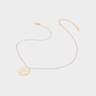 Aldo Magnollia - Ice