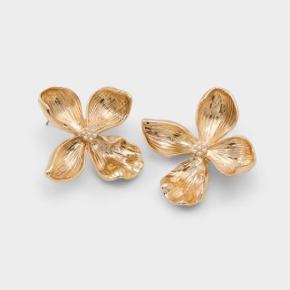 Aldo Florapearl - Ice