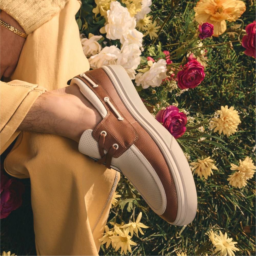 Aldo Wildwave - Cognac