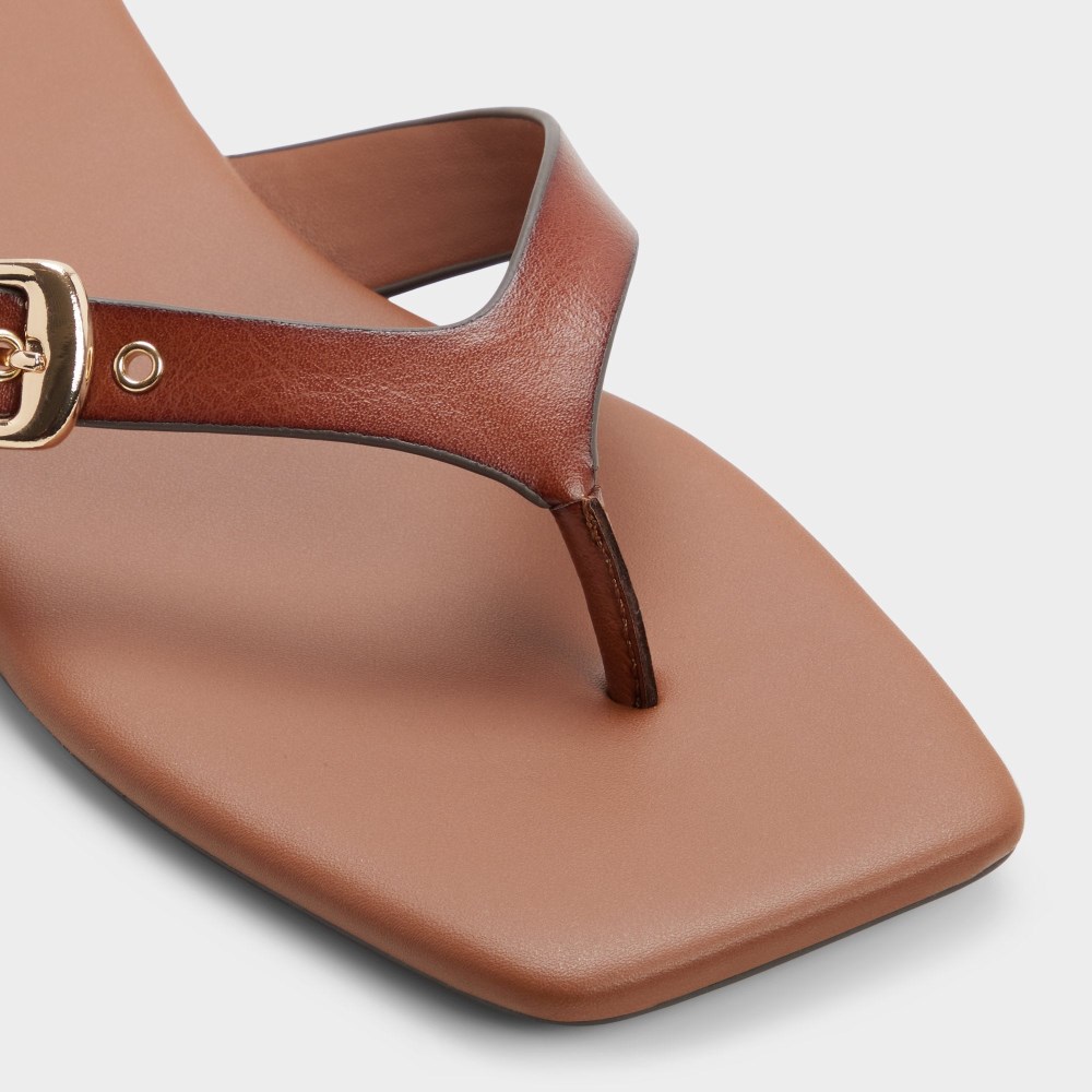 Aldo Leonnia - Medium brown