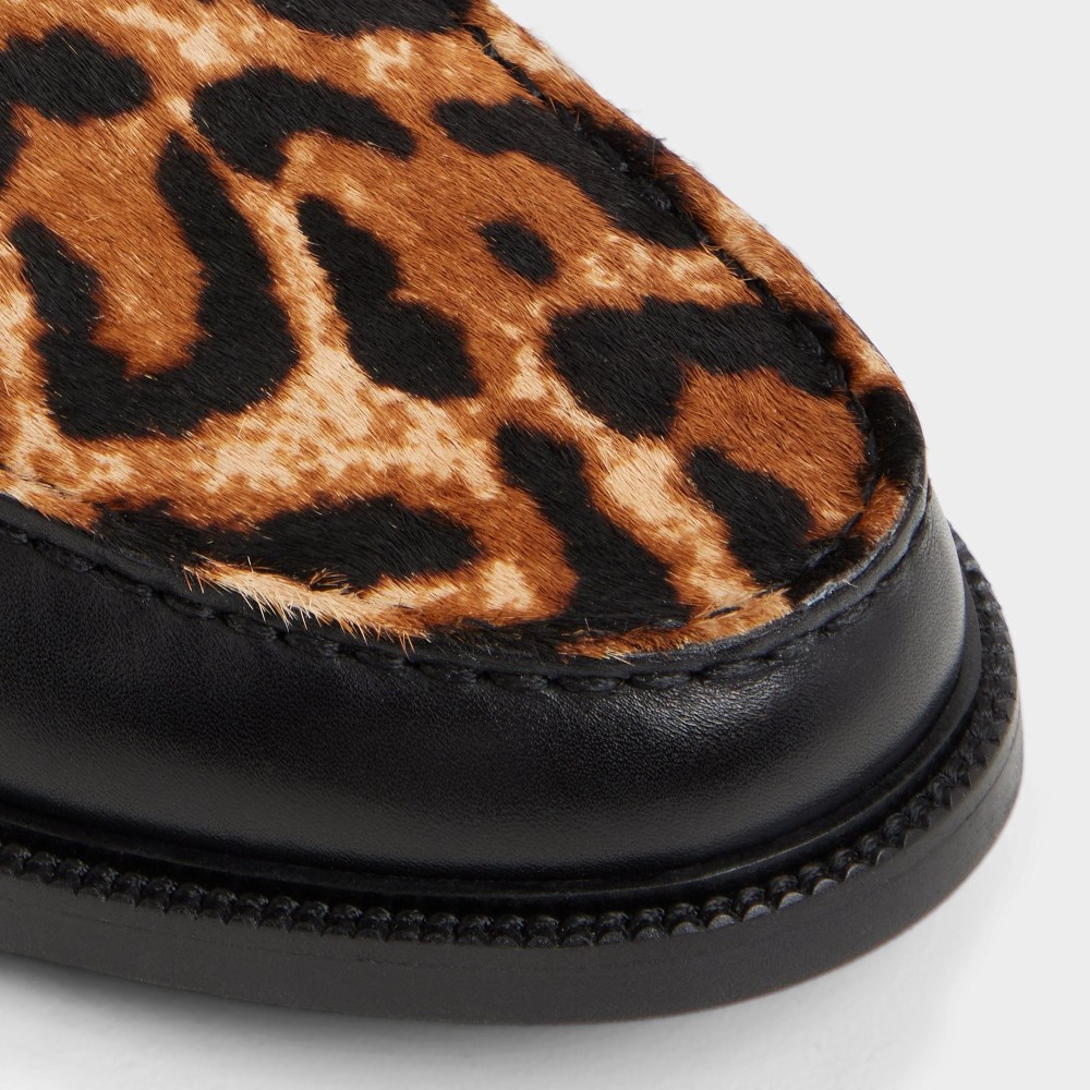 Aldo Kieran - Black combo