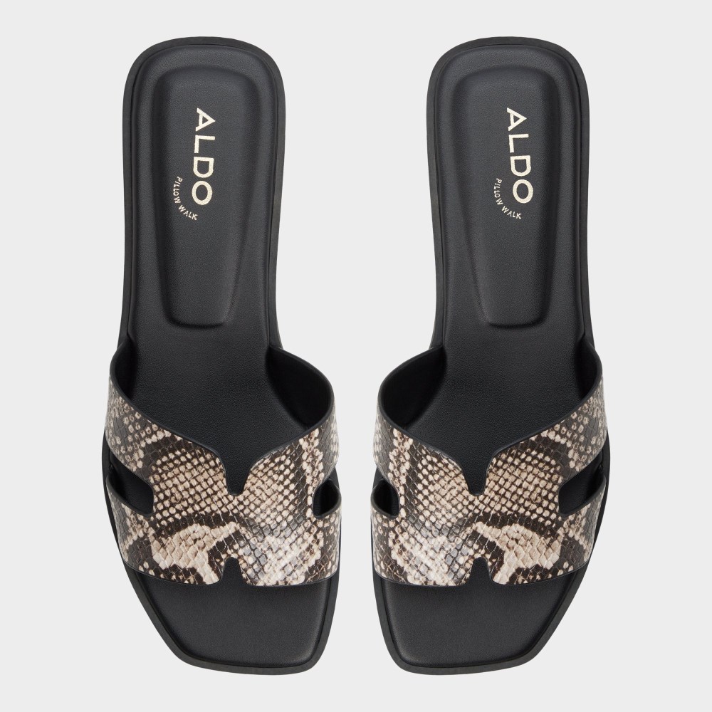 Aldo Itsandal - Open brown