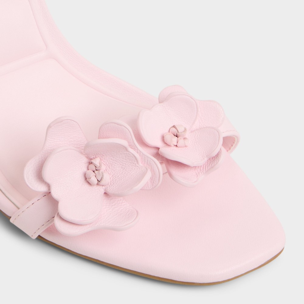 Aldo Daisylily - Light Pink