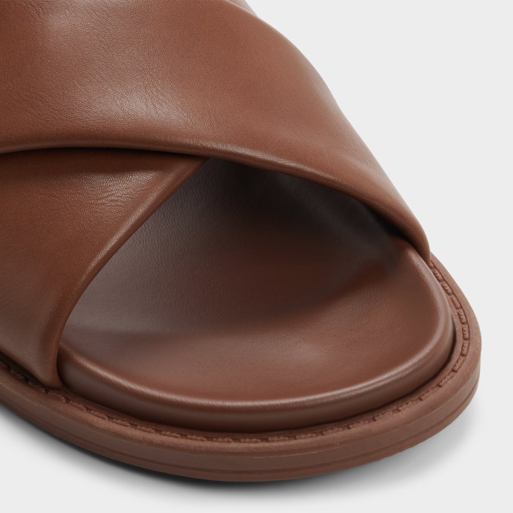 Aldo Borgo - Dark brown