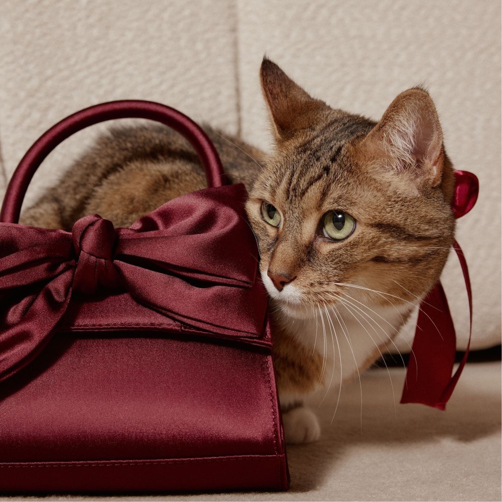 Aldo Decadencee - Dark Red