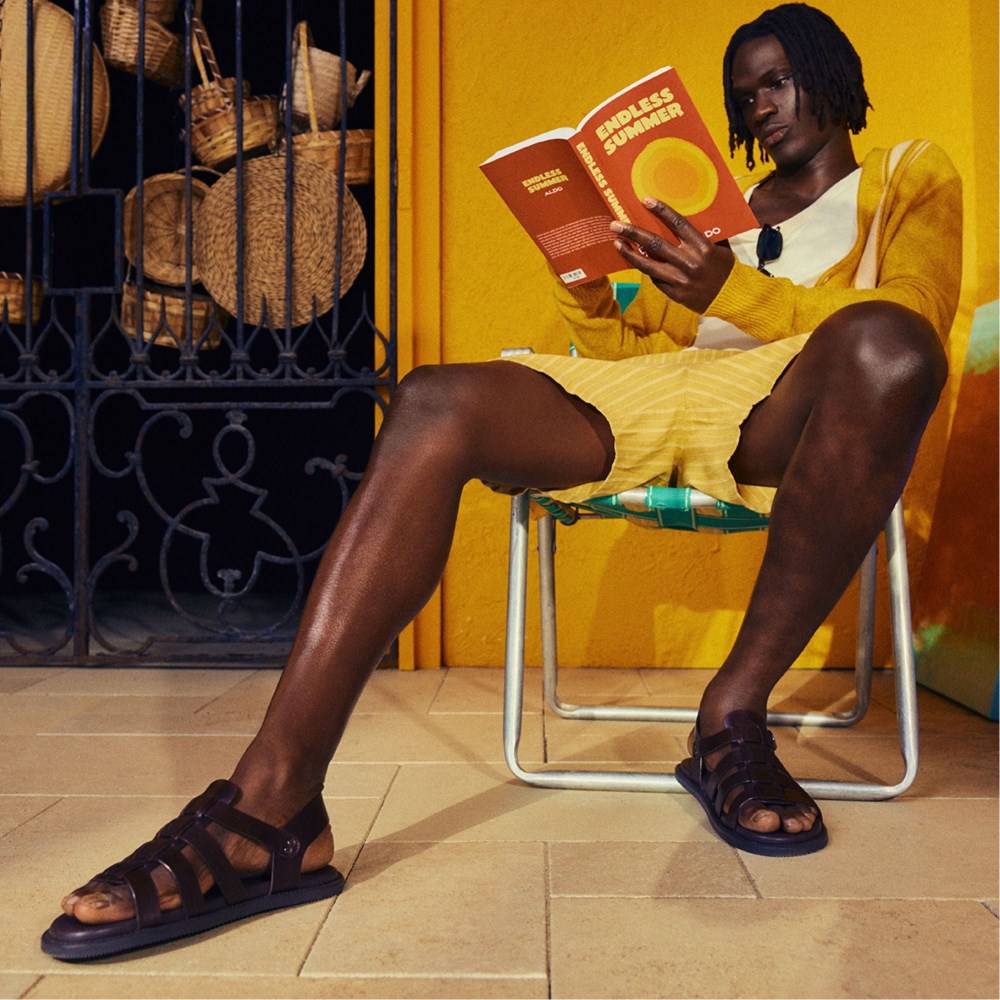 Aldo Warley - Dark Brown