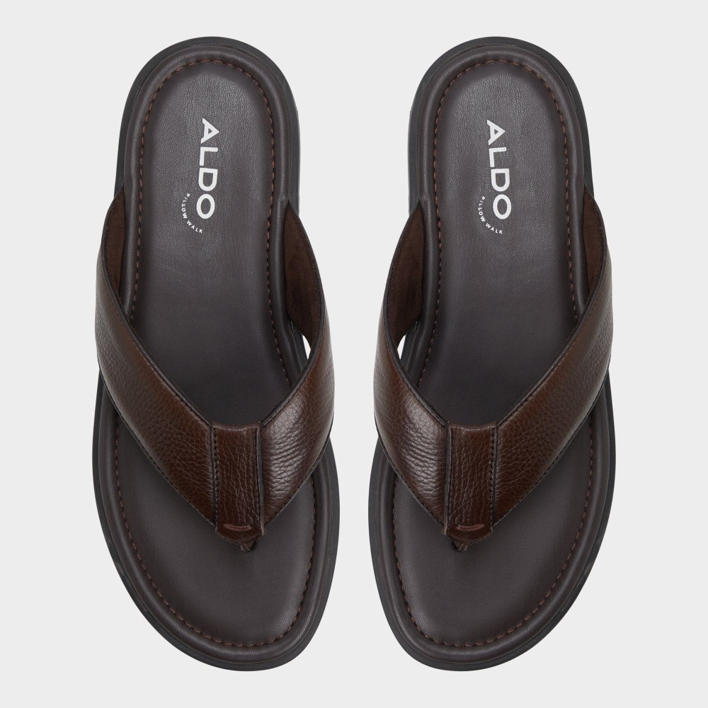 Aldo Tazzo - Dark Brown