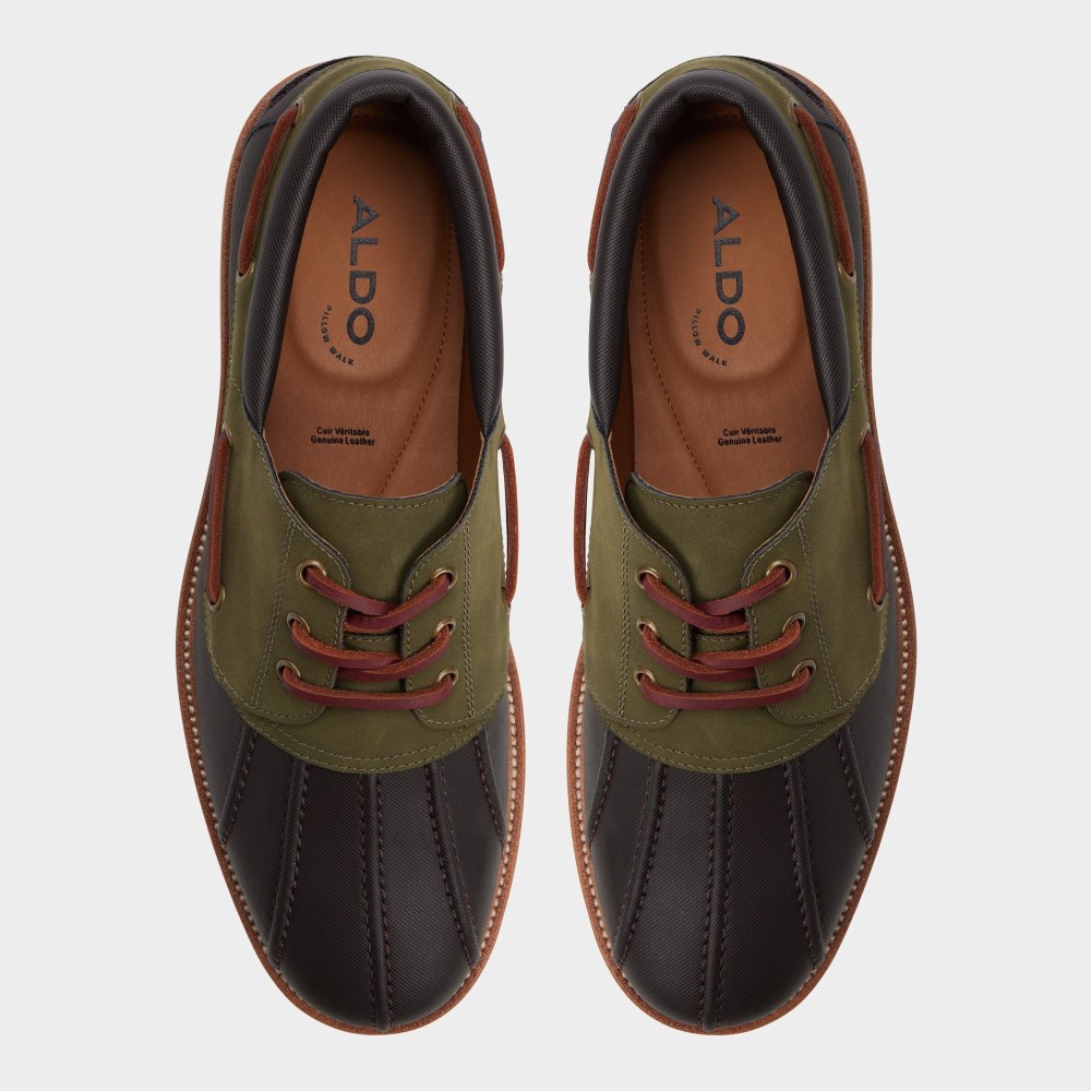 Aldo Finn - Brown Primary - Multi