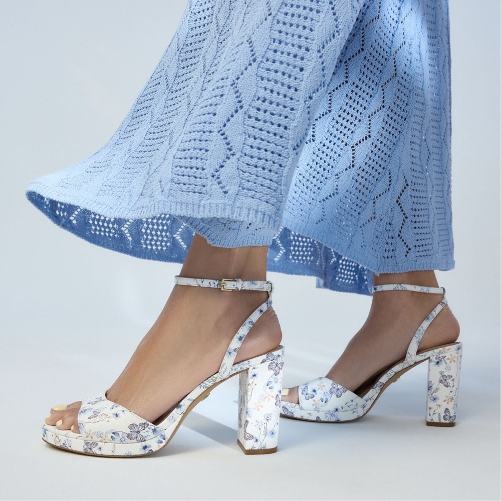 Aldo Gracious - Multi