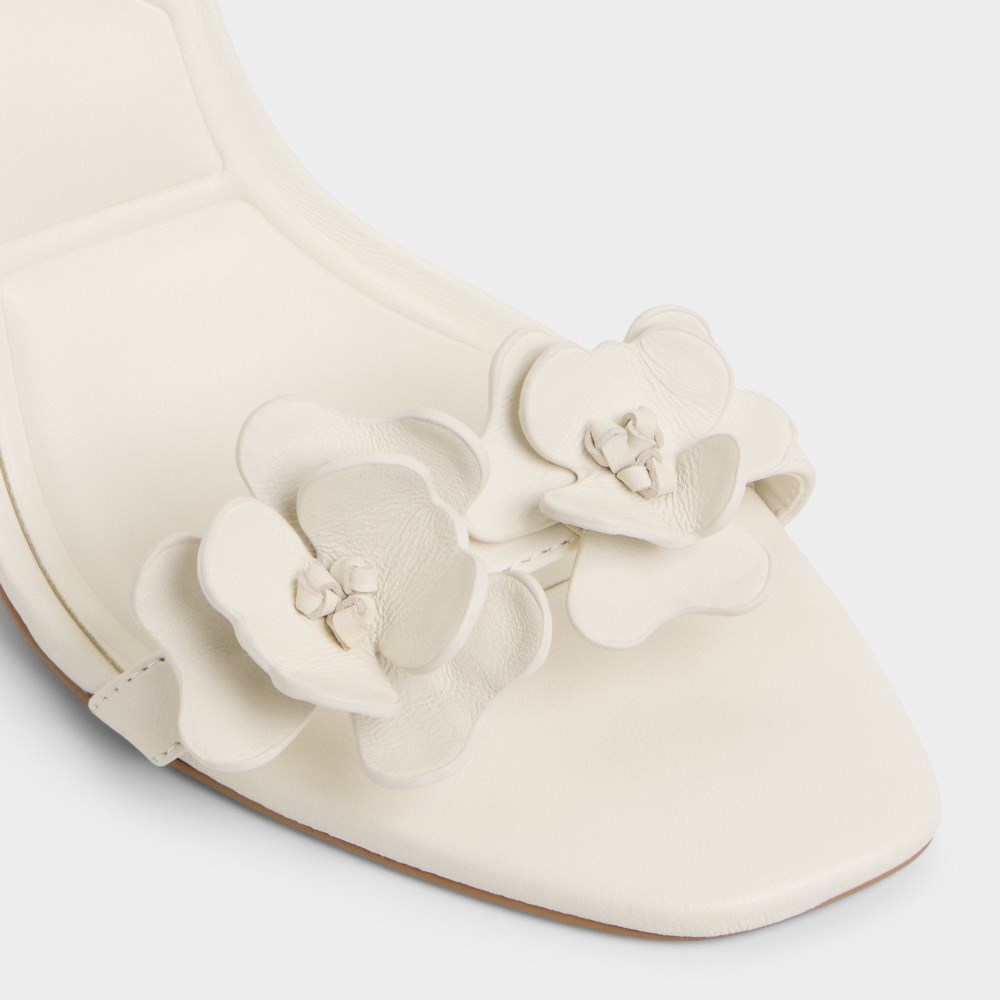 Aldo Daisylily - White/bone