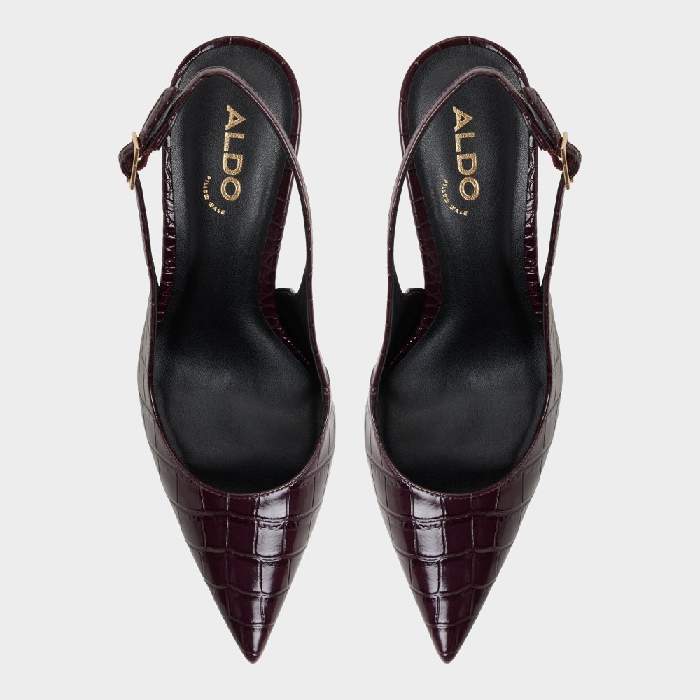 Aldo Seralina - Bordo