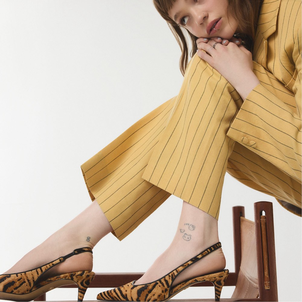 Aldo Leanah - Open Brown