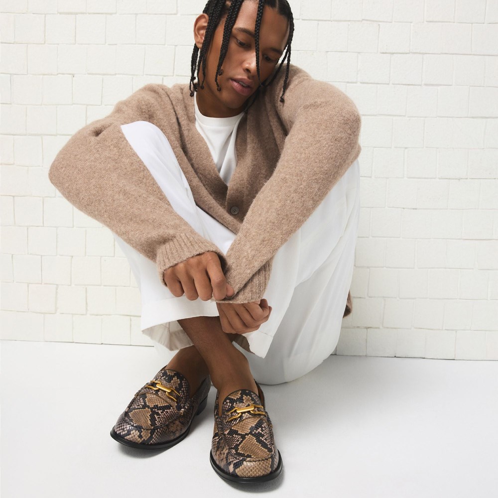 Aldo Edouard - Brown multi