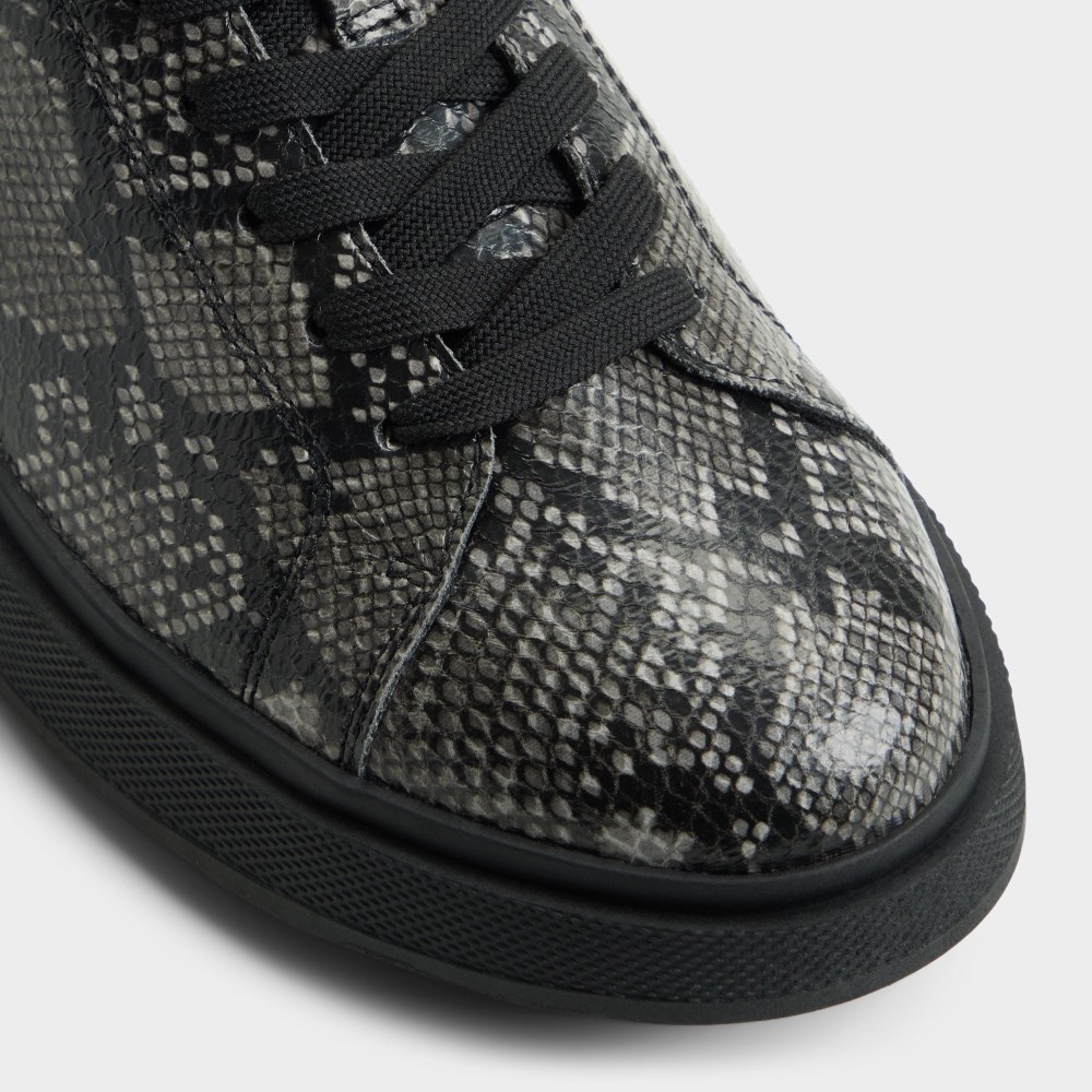 Aldo Magnus - Black combo