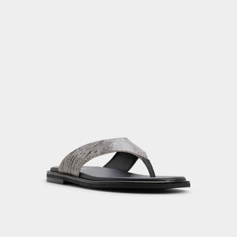 Aldo Smolder - Dark grey