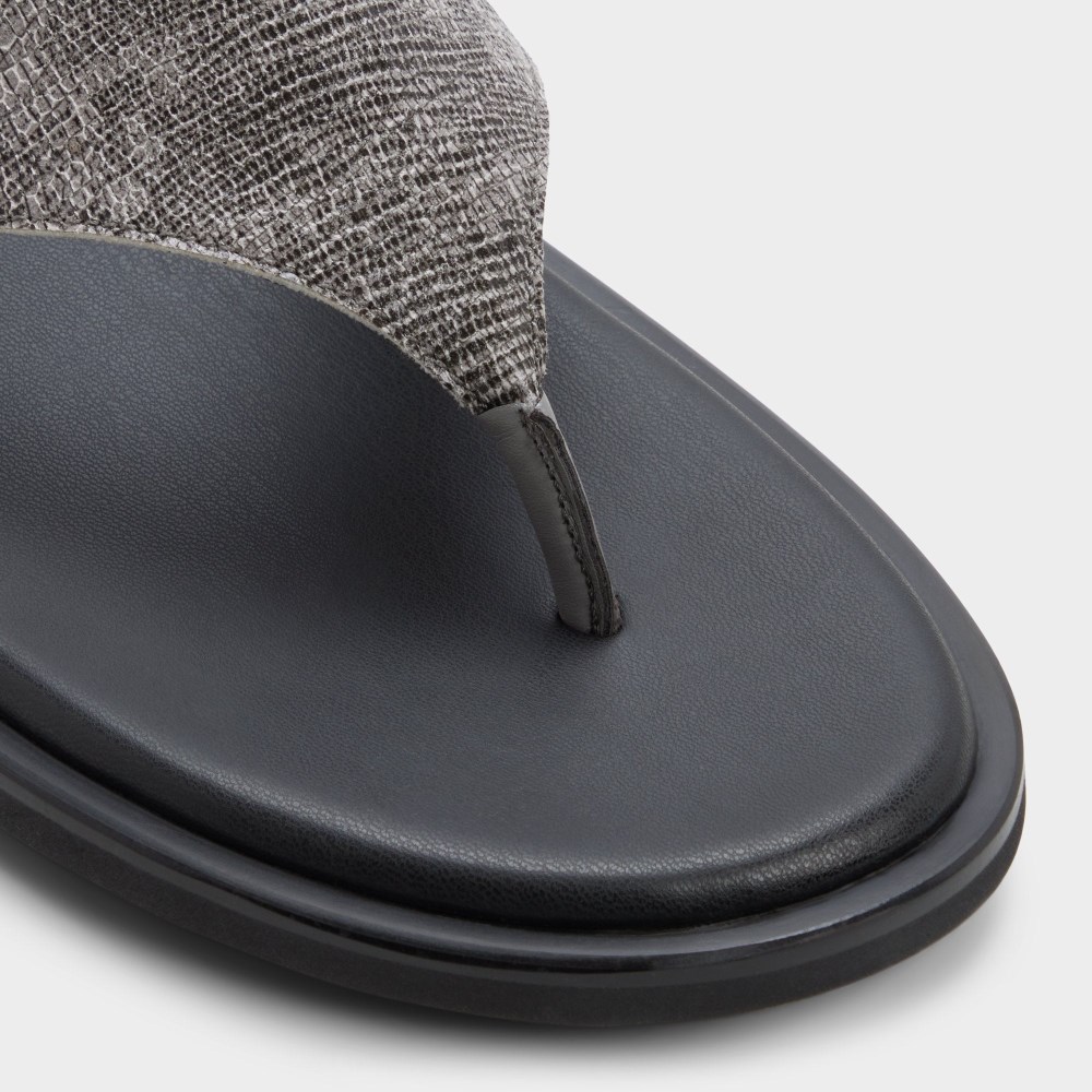 Aldo Smolder - Dark grey