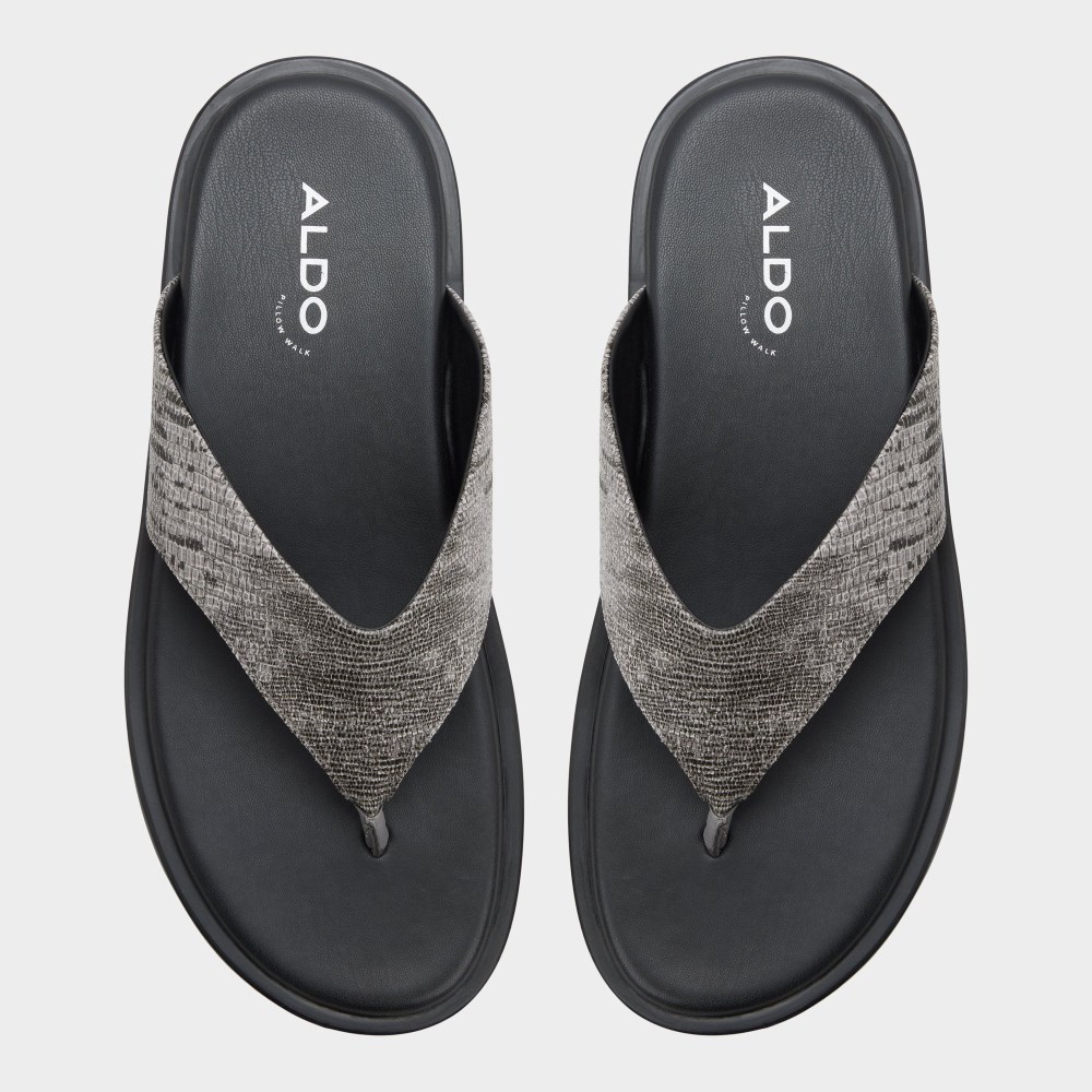 Aldo Smolder - Dark grey