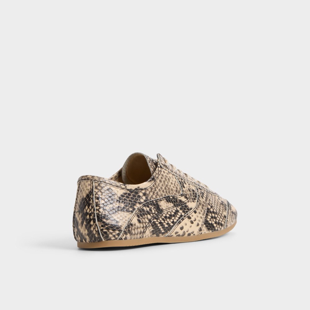 Aldo Adrelya - Tan Multi