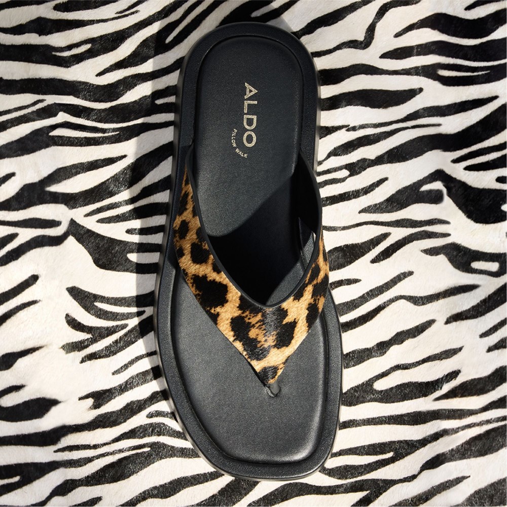 Aldo Grettle - Brown Multi