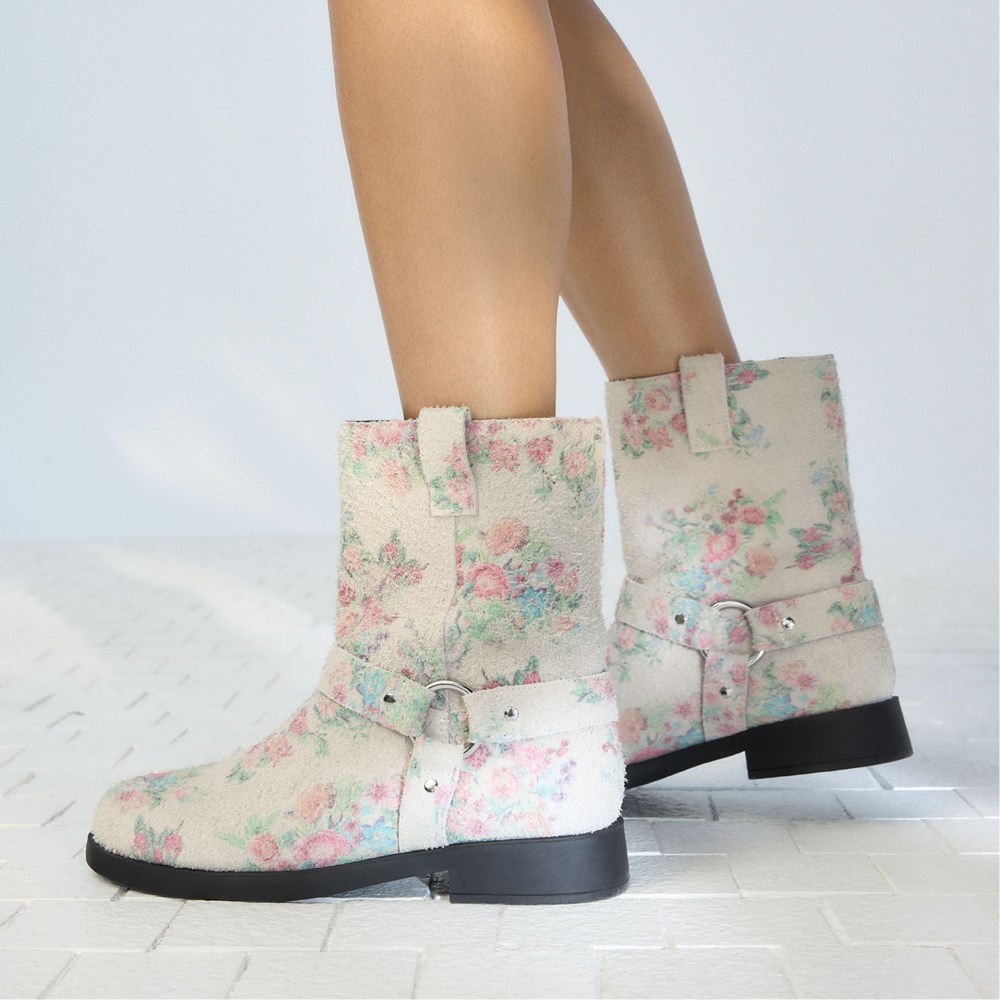 Aldo Notorious - Multi